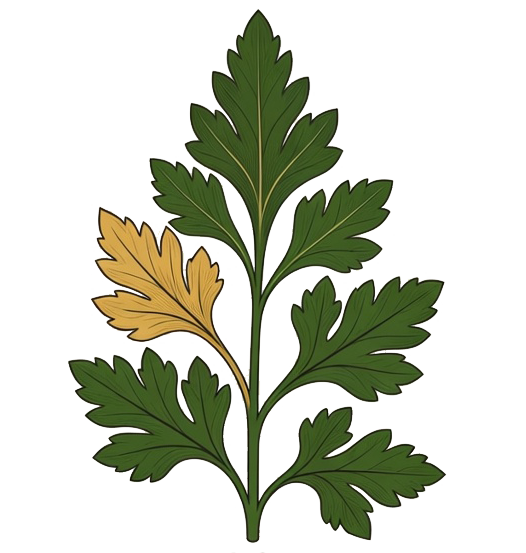 Котлетки.онлайн